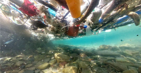 海洋プラスチックごみ