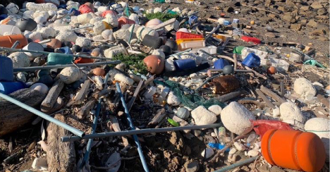 海洋プラスチックごみ
